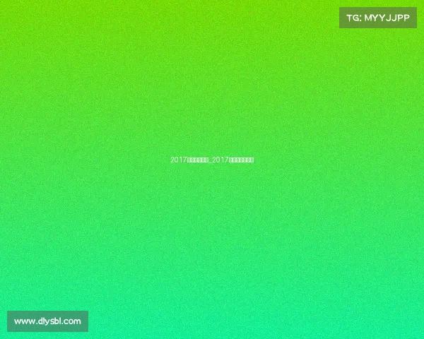 2017赛车国际赛事_2017年赛车翻车事故