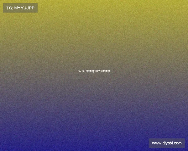 WAGA水上赛事;2020年水上比赛